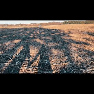 Meet your Posher, Anmol